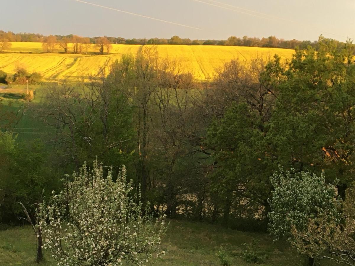 Maison Dougnac Fleurance Kültér fotó